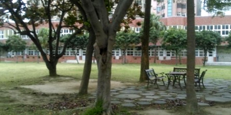 枯死樹木鋸除清理維護校園安全