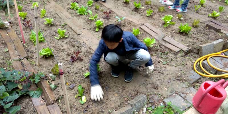 「越葉越美麗」小園丁們的第一次施肥體驗