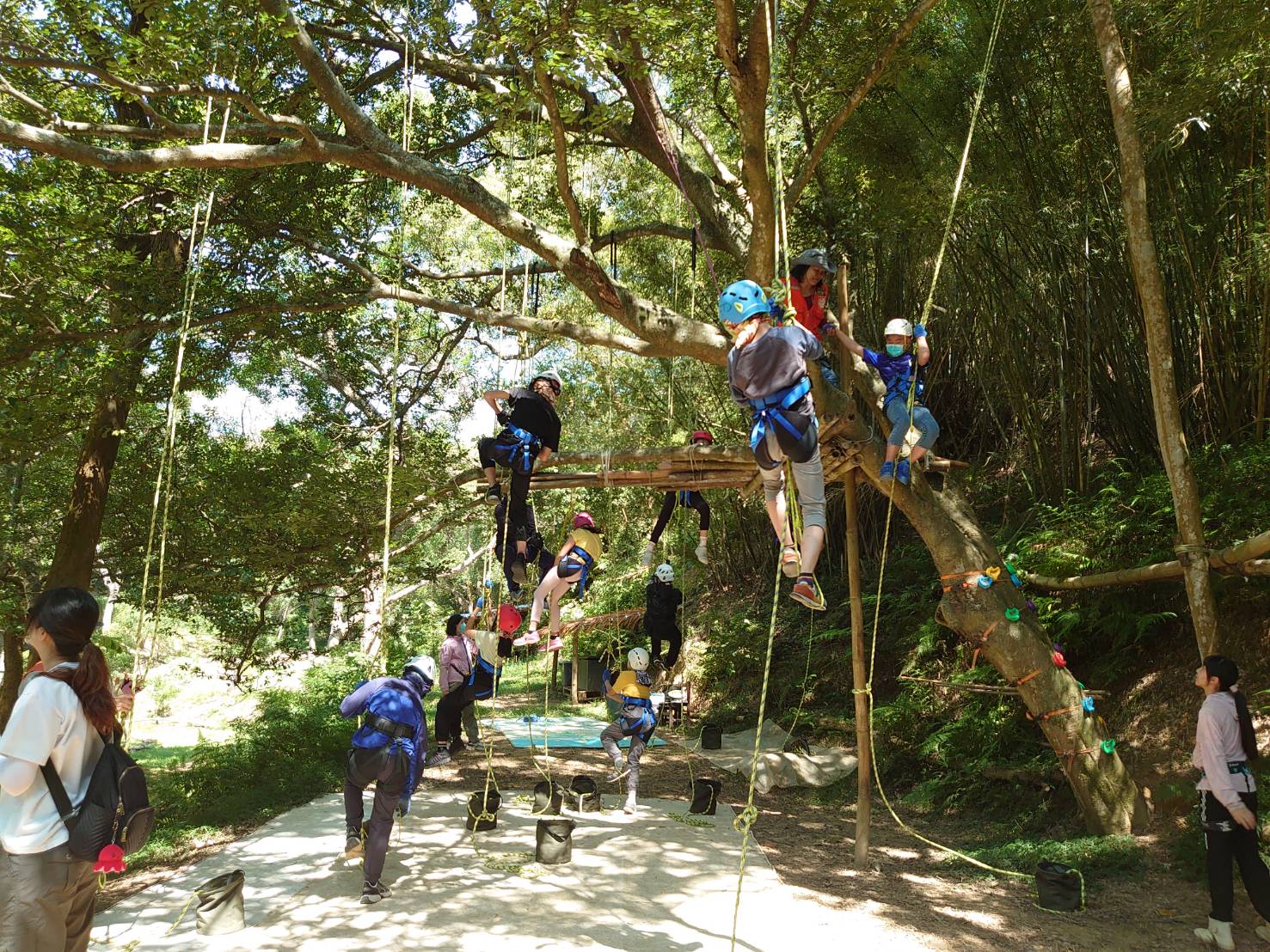 113年度青青小森戶外教育攀樹體驗活動活動照片
