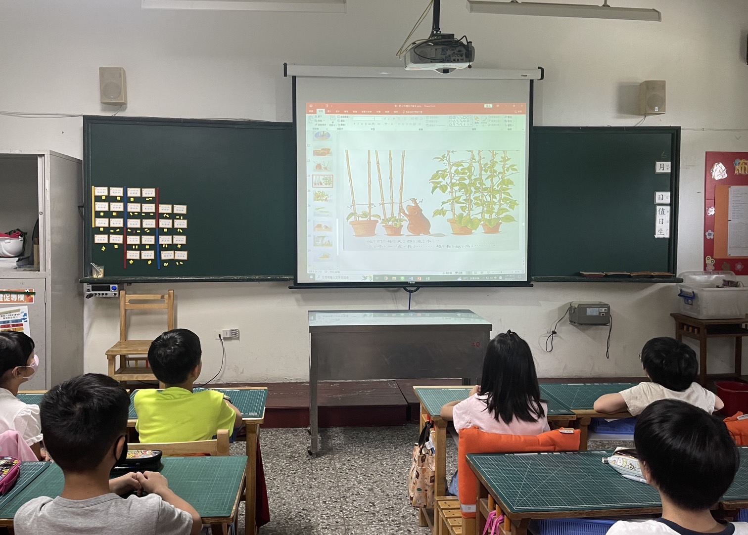 三年級校本課程-蔬果成長記(語文軸)活動照片