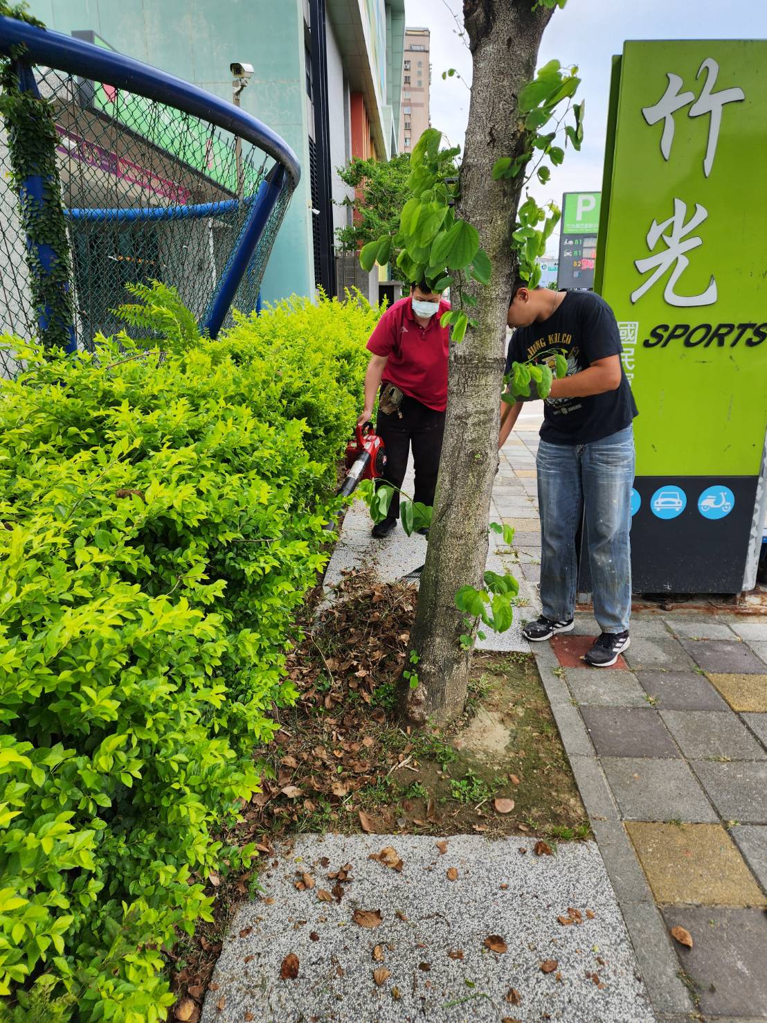 竹光國中總務處主動清掃落葉 營造潔淨通學環境活動照片