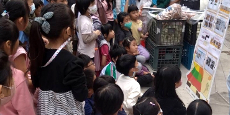 一起開箱午餐食材吧