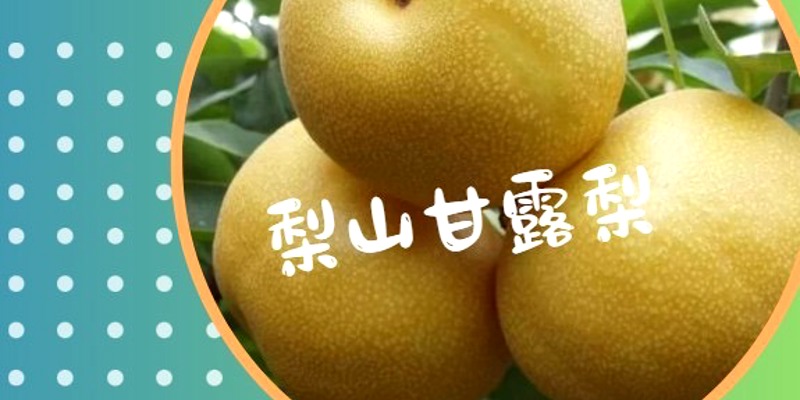 三民國中優質安心、感恩惜福的營養午餐