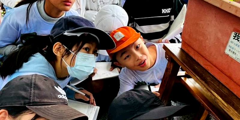 大家在看什麼？