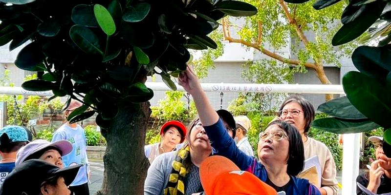 不要小看蝴蝶幼蟲爬行的能力！