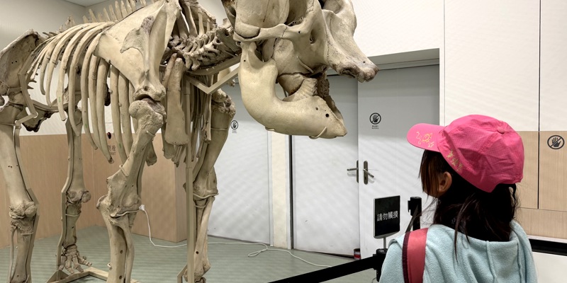 2025.11.28 501校外教學 新竹市立圖書館｜動物園分館