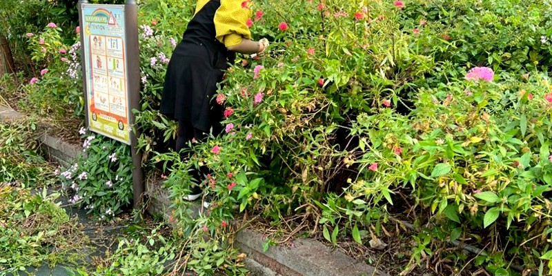 1141215內湖國小裡那位修剪著樹叢的身影是誰呢?