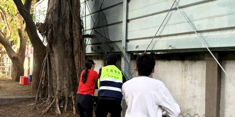 整理經國路圍牆內側