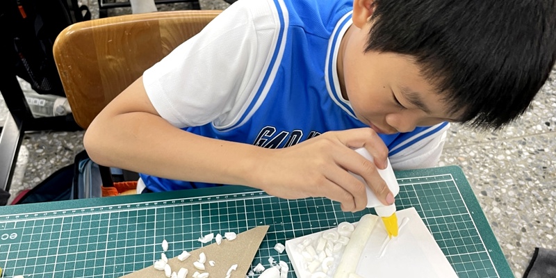 指尖綻放的生命力：茄苳國小推廣蓪草文化 跨域結合自然與藝術教育