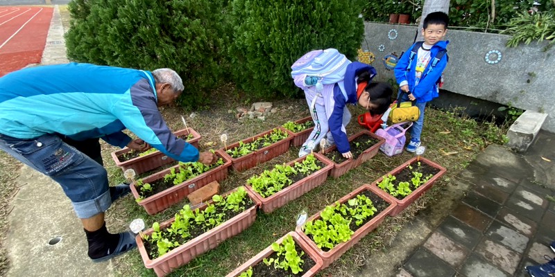 校園小農夫活動記