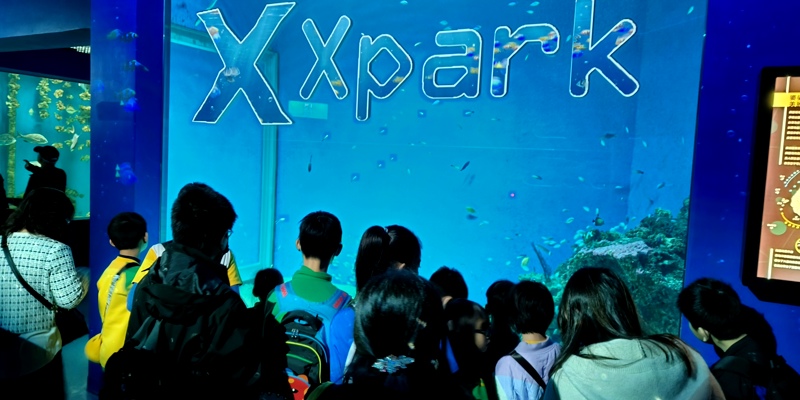 走出教室，探索海洋世界──小虎班戶外教育參訪活動