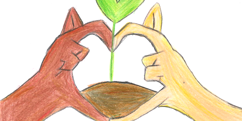 國教署補助資源班設施設備改善 學生親手設計「小樹苗教室」LOGO