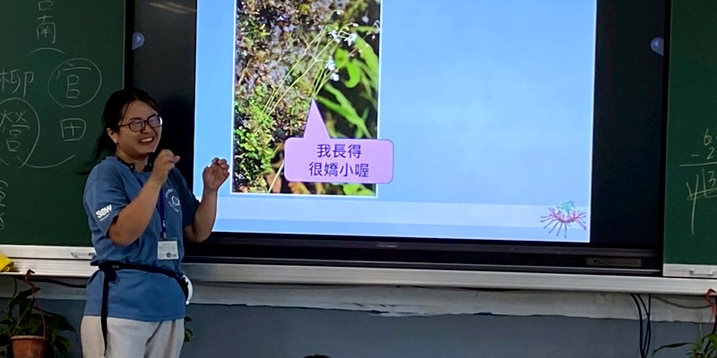 內湖國小食蟲植物學習成果報導
