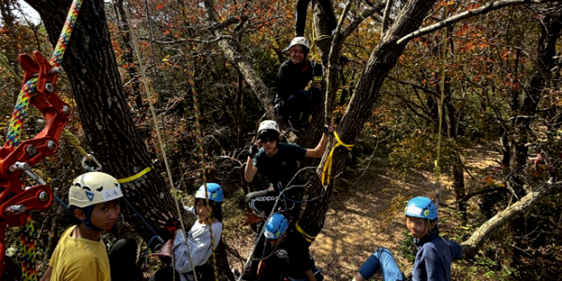 冬學季尾聲的樹冠冒險：在高度中學習勇氣與信任