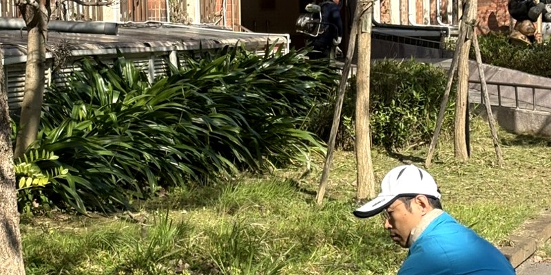 西大路花圃雜草修剪枯枝清除,歡迎春天的到來!