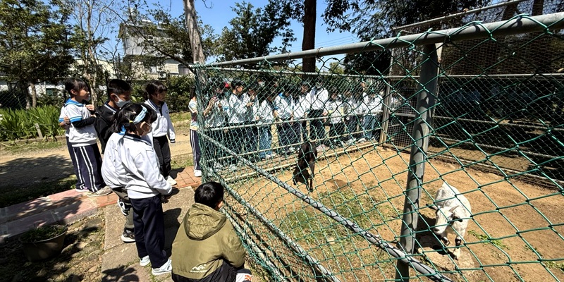青草湖國小二年級校外教學走進農家樂 體驗客家米食與傳統農村文化