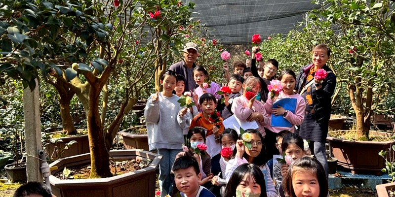 走進香山的茶花仙境：茄苳小探險家出動！