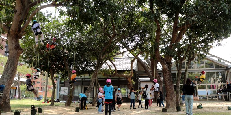 東門國小推動攀樹課程 從體驗出發，打造環境教育新亮點