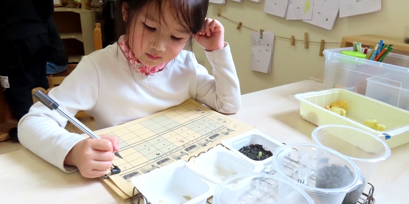 為什麼種子不發芽?