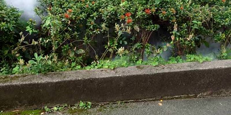 全面出擊！內湖國小4月完成消毒與清淤雙重環境整備