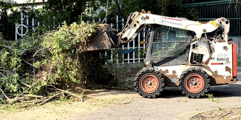 守護校園安全——內湖國小利用假日完成榕樹修剪作業