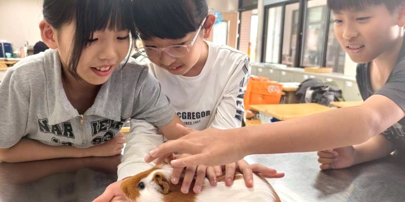 【 昆蟲社課程側記 】