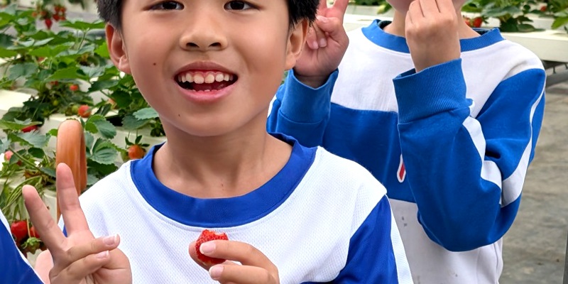 1150401-二年級綠谷沙拉生菜園食農戶外教育