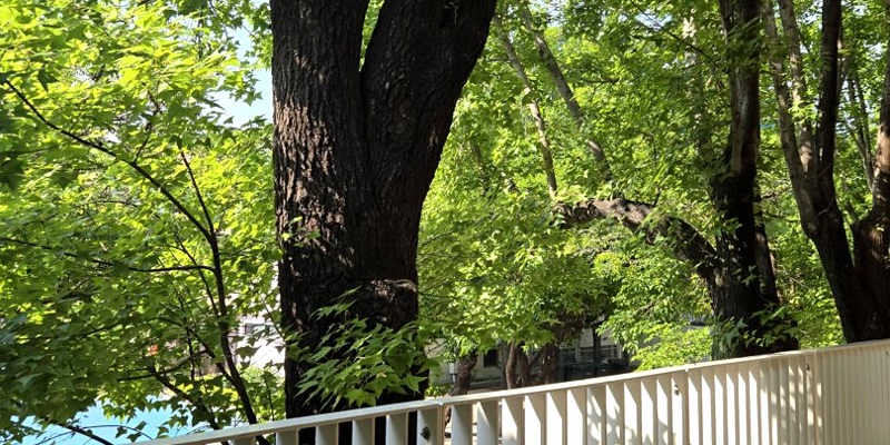 綠意環抱童心園地