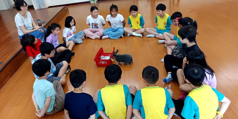 從「小兔子大學問」學習尊重生命