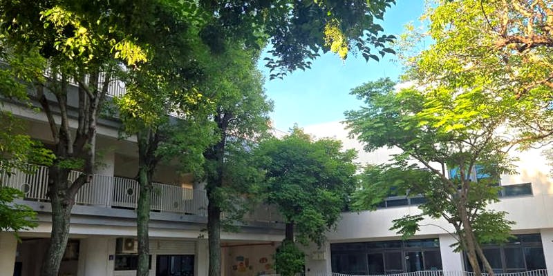 初夏光影・靜美竹小