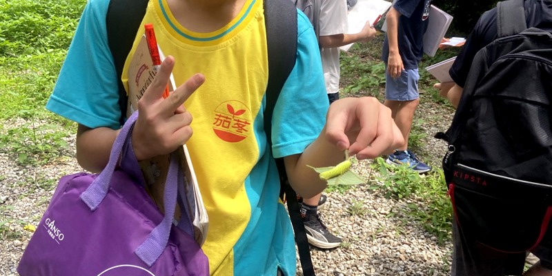 茄苳國小之湖畔綠蹤：寶一水庫的物種悄悄話
