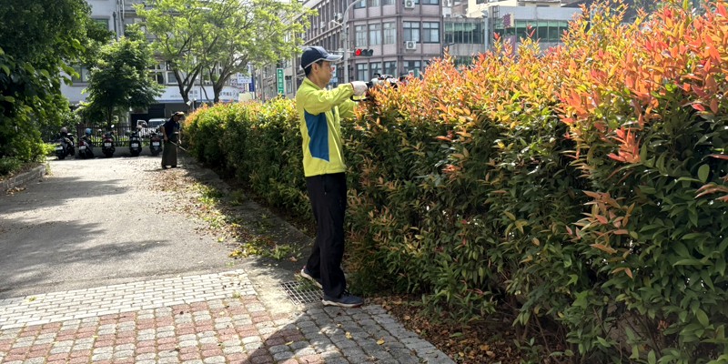 東棟外至西大路花圃雜草修剪枯枝清除