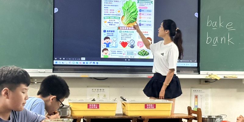 白莧菜鈣有力青菜