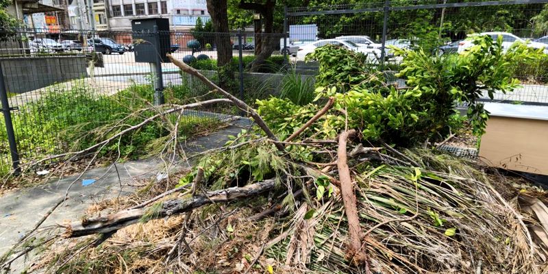 2026年9號颱風過後立即復原校園環境