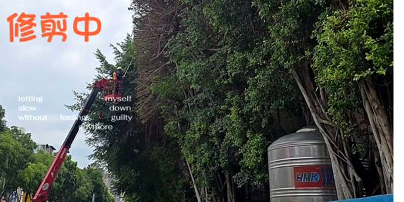 暑假防颱工作不可少~經國路修樹打造安全友善的步道