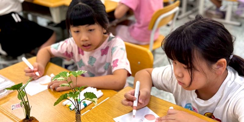 苔球初體驗：我的植物「室友」我來照顧！虎林國小夏日樂學