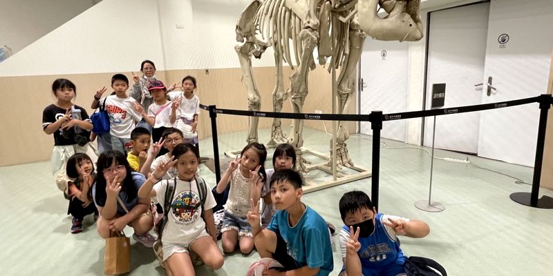 小小動物觀察專家！虎林國小夏日樂學