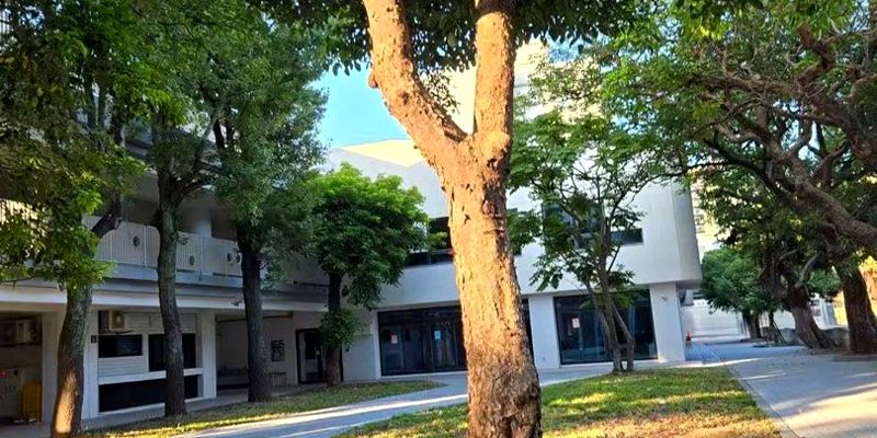 竹小新增步道｜讓放學更順暢