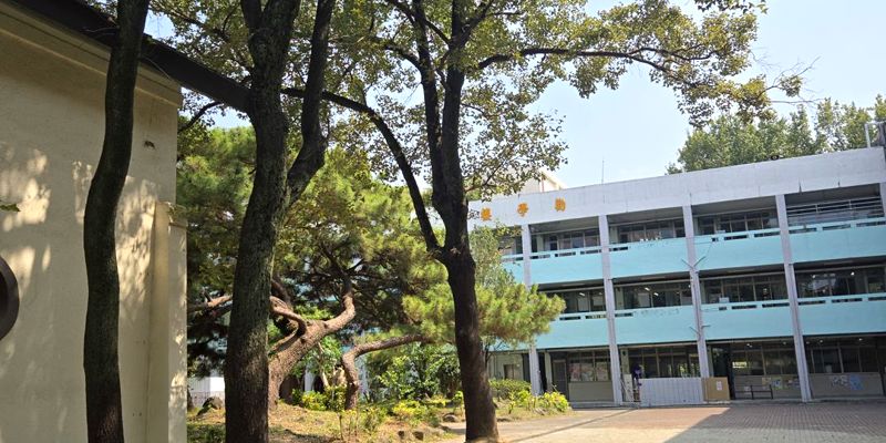 漫步竹小校園｜處處都是感動