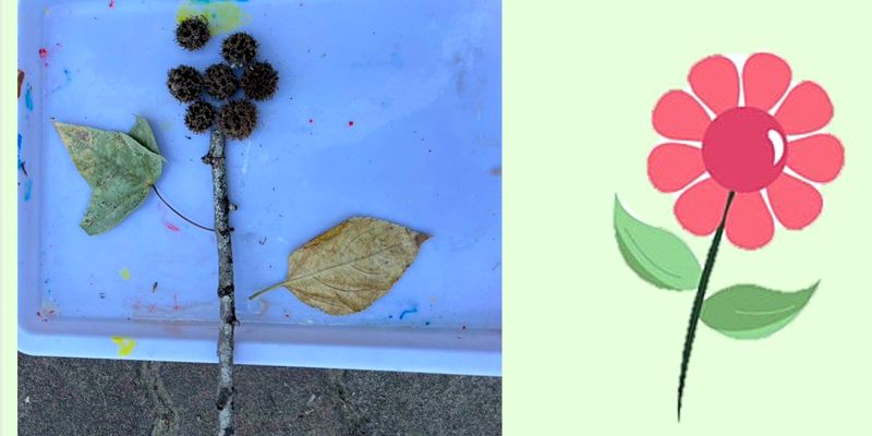 白雲班校園踏查：樹葉、樹枝、果實的魔法創作鋪排！