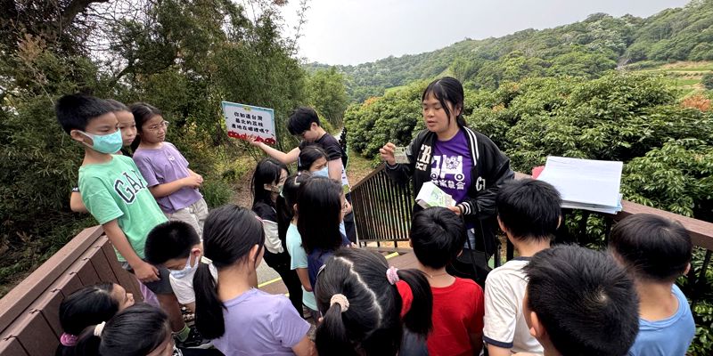 茄苳探險趣 發現「茄」鄉荔枝