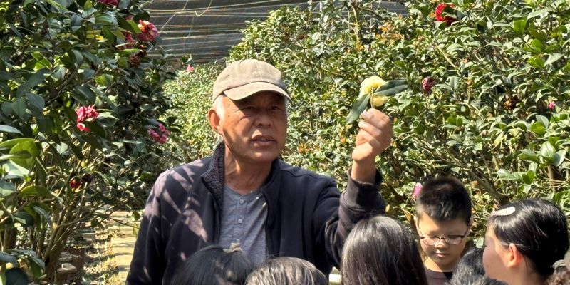 走進佳信茶花園 發現茄的美